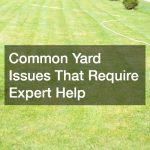 Common Yard Issues That Require Expert Help