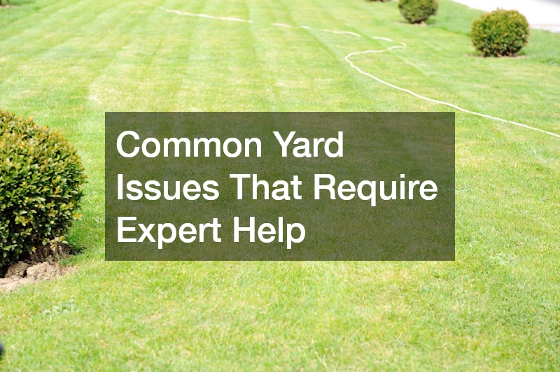 Common Yard Issues That Require Expert Help
