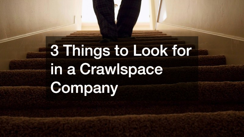 3 Things to Look for in a Crawlspace Company